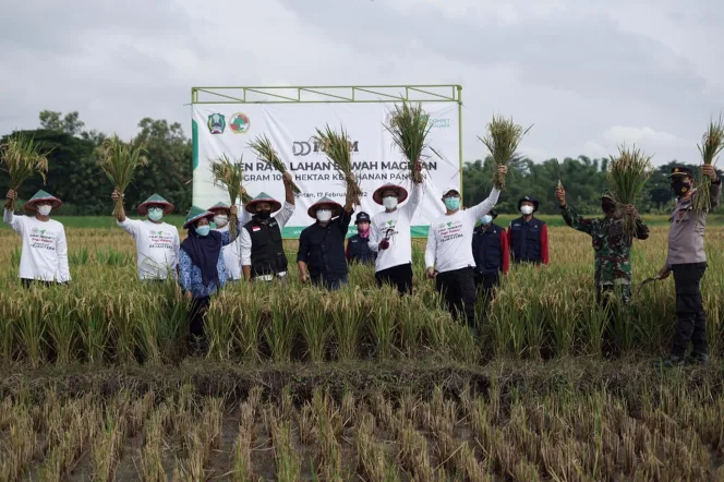 
					Panen Raya Bersama Gapoktan Sejahtera, Dompet Dhuafa Ajak Anak Muda Kembangkan Potensi Pertanian di Magetan