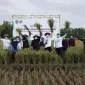 Panen Raya Bersama Gapoktan