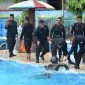Berdayakan Kolam UMKM
