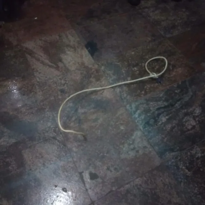 
					Diduga Stres Dengan Keluarga, Pria Paruh baya Tewas Gantung Diri
