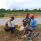 Himbau Tingkatkan Swasembada Pangan