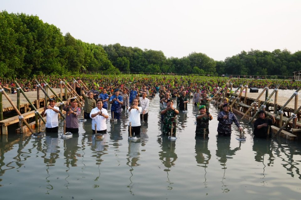Tanam Mangrove secara serentak
