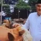 Ketua DPRD Kabupaten Bogor Salurkan Sapi Kurban