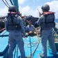 curi ikan laut
