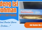 Bandeng Isi