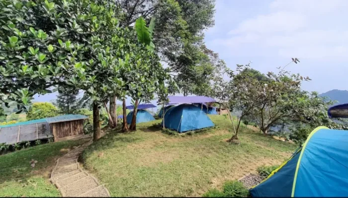Rekomendasi Tempat Healing di Bogor, Hanjuang Hills Camp 
