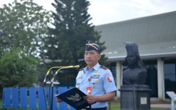 whatsapp image 2024-11-11