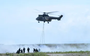 whatsapp image 2024-12-03