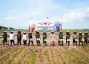 Panglima TNI Dorong Swasembada Pangan Nasional Melalui Bibit Padi Unggul Sinar Mentari