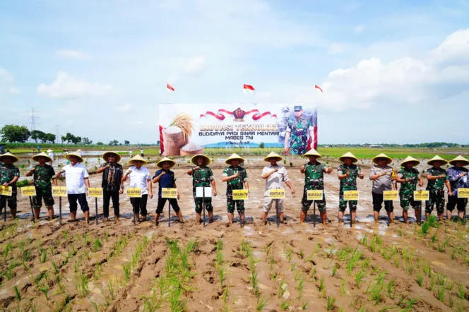 Panglima TNI Dorong Swasembada Pangan Nasional Melalui Bibit Padi Unggul Sinar Mentari