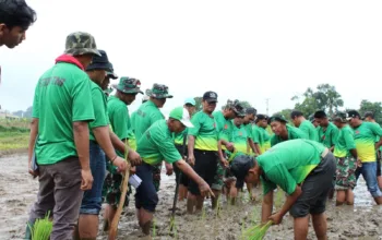 Bimtek Ketahanan Pangan TA 2025, TNI Dorong Swasembada Pangan Nasional
