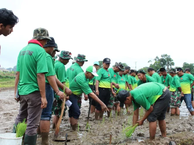 Bimtek Ketahanan Pangan TA 2025, TNI Dorong Swasembada Pangan Nasional