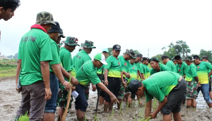 Bimtek Ketahanan Pangan TA 2025, TNI Dorong Swasembada Pangan Nasional