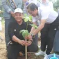 lingkungan hidup