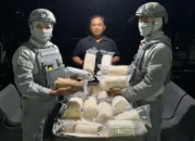 Bakamla RI Gagalkan Penyelundupan 60 Ribu Ekor Baby Lobster