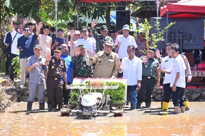 
					Penanaman Padi Serentak Yang Dipimpin Presiden RI
