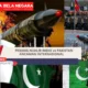 Bahaya Nuklir India vs Pakistan: