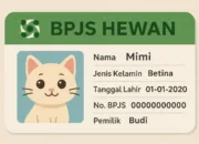 BPJS Hewan, Inovasi Pemprov Jakarta yang Dianggap Terlalu Maju?