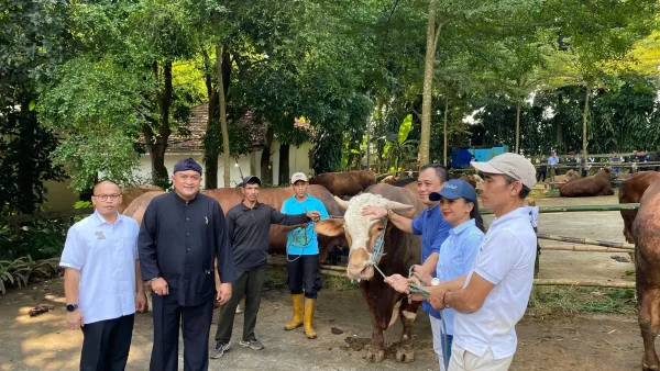 Bupati Bogor Ucapkan Terima Kasih Bantuan 58 Ekor Sapi Kurban dari Presiden RI
