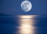 Tradisi Malam 1 Suro Sarat Ritual Mistis dan Filosofi Budaya