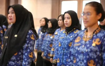 Pengumuman Kelulusan PPPK Tahap 2 Resmi Dibuka, Ini Jadwal dan Syarat Lengkap Pengisian DRH