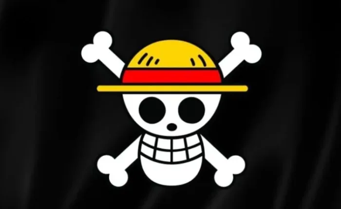 Bendera One Piece Viral