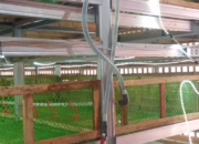 BUMdes JSU Majasari:Motor Penggerak Perekonomian Desa Melalui Peternakan Ayam