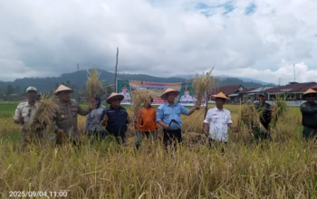 IMG_20250904_110042_116