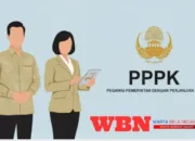 PPPK Paruh Waktu: Skema Baru Rekrutmen ASN Fleksibel Resmi Diperkenalkan