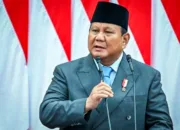 Cinema XXI Pastikan Video Kabinet Prabowo Hanya Sepekan