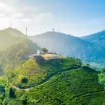 Sumber Foto : Traveloka
