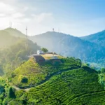 Polres Bogor Terapkan Ganjil Genap di Jalur Puncak Sampai 28 September