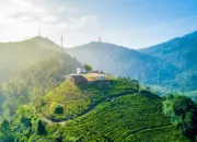 Polres Bogor Terapkan Ganjil Genap di Jalur Puncak Sampai 28 September