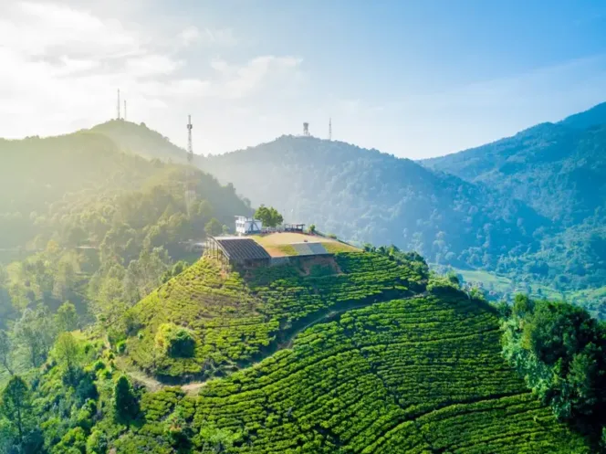 
					Sumber Foto : Traveloka
