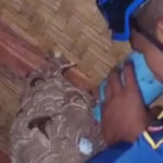 Screenshot_20250911_070602_Samsung Internet