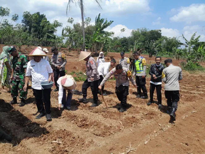 
					Polri Dukung Program Penanaman Jagung Serempak Di Malangbong Garut, Dukung Ketahanan Pangan Nasional