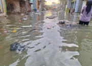 Banjir Rendam Sejumlah Kota di DKI, Semarang, dan Jawa Barat