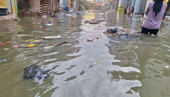Banjir Rendam Sejumlah Kota di DKI, Semarang, dan Jawa Barat
