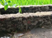 Desa Mekarluyu Kecamatan Sukawening Garut, Terima Bantuan P3-TGI, Petani Semakin Sejahtera