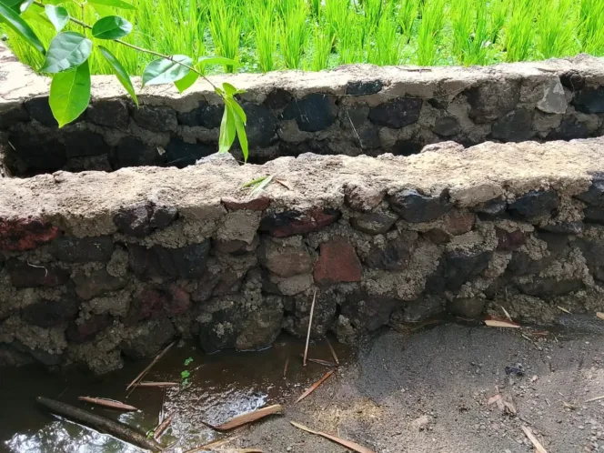 
					Desa Mekarluyu Kecamatan Sukawening Garut, Terima Bantuan P3-TGI, Petani Semakin Sejahtera