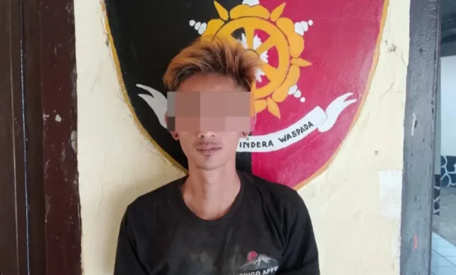
					Polsek Cibatu kabupaten Garut Amankan DPO Penganiayaan
