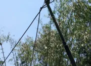 Kabel Internet Di Desa Cigadog Sembrawut, Warga Minta Agar Segera Di Benahi