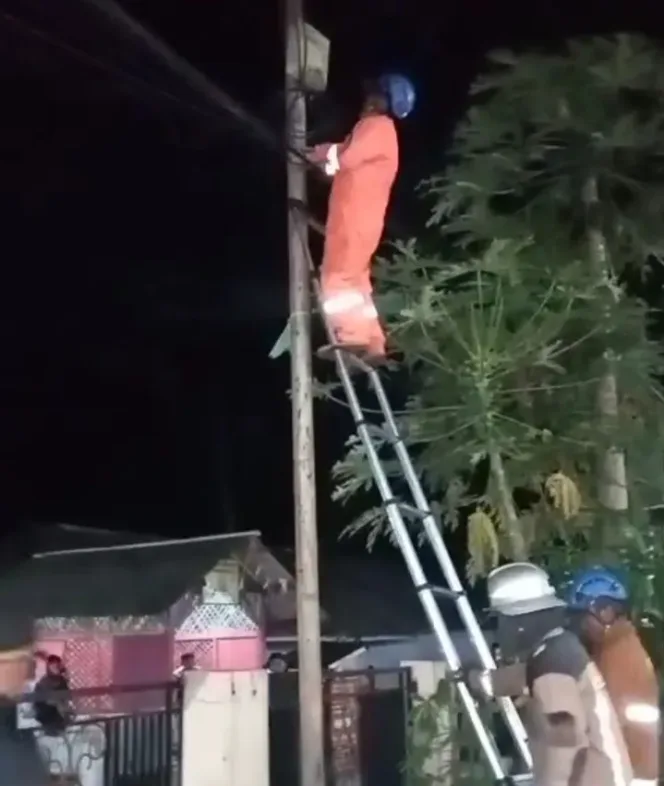 Kepala Dinas Damkar H. Basuki Eko Benarkan Evakuasi Sarang Tawon di Pangatikan pada Malam Hari