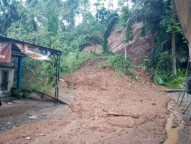 Hujan Deras Sebabkan Longsor Di Pakenjeng, Jalur Lintas Selatan Lumpuh