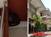 Macan Tutul Masuk Hotel Anugerah, Dugaan Dari Lembang Park Zoo