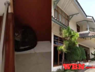 Macan Tutul Masuk Hotel di Bandung, Diduga Kabur dari Lembang Park Zoo