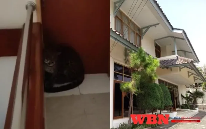 Macan Tutul Masuk Hotel di Bandung