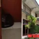 Macan Tutul Masuk Hotel di Bandung