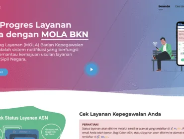 Cara Cek NIP PPPK Paruh Waktu 2025 di Mola BKN