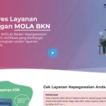 Cara Cek NIP PPPK Paruh Waktu